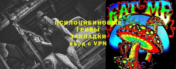 apvp Горно-Алтайск